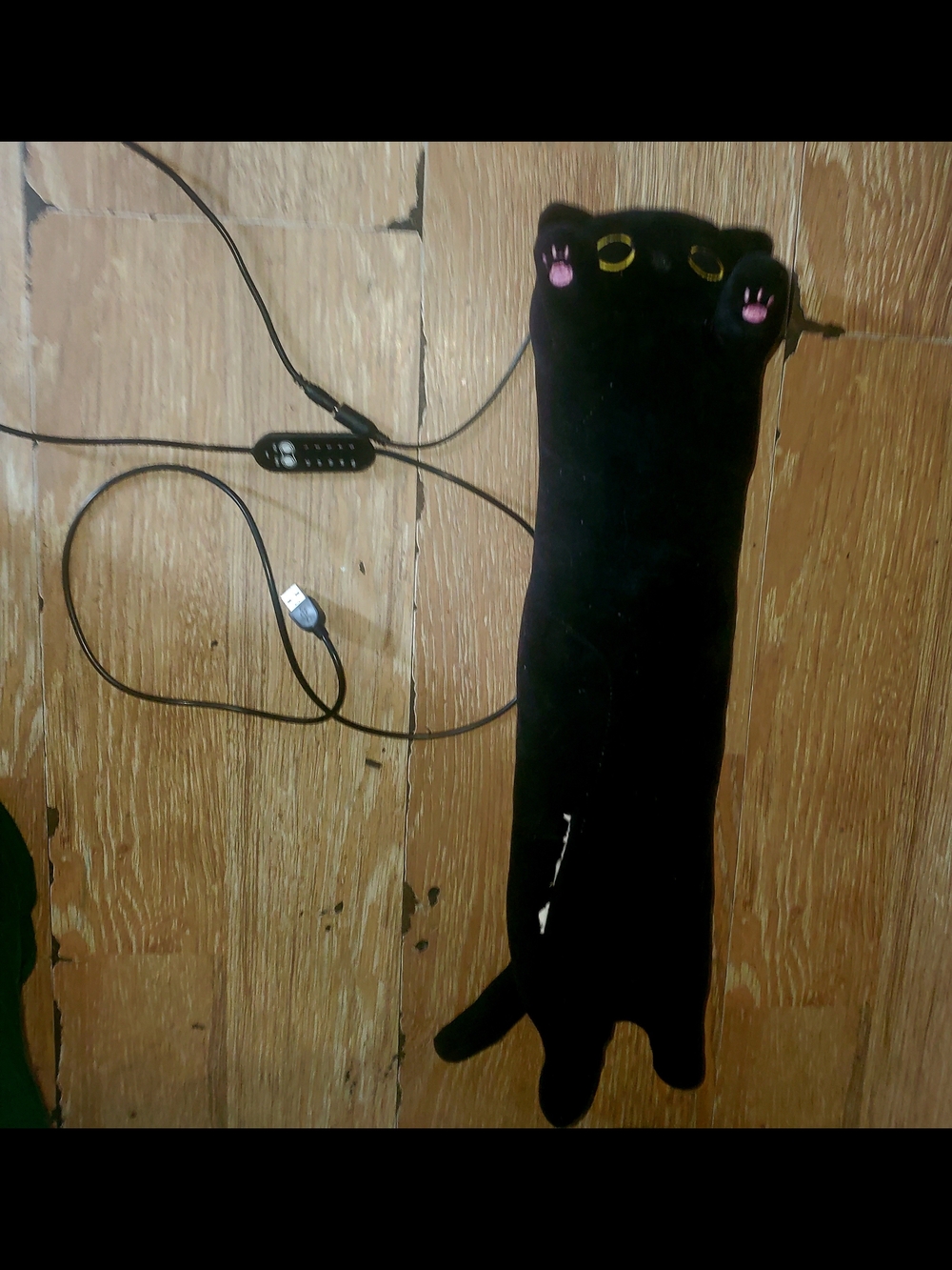 Black Cat-Shaped USB Heated Pillow W. Built In Remote